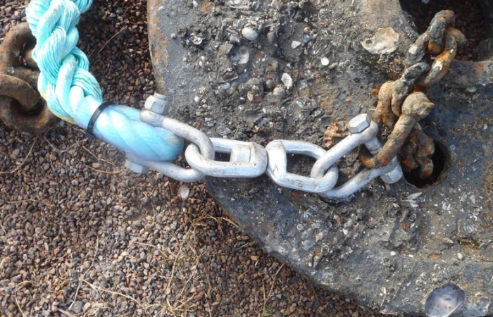 Shackle & swivel assembly